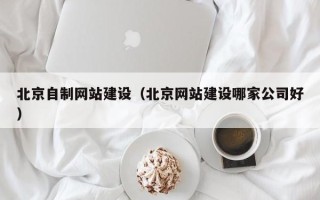 遂宁北京自制网站建设（北京网站建设哪家公司好）