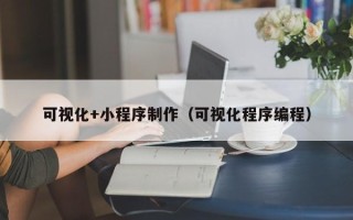 遂宁可视化+小程序制作（可视化程序编程）